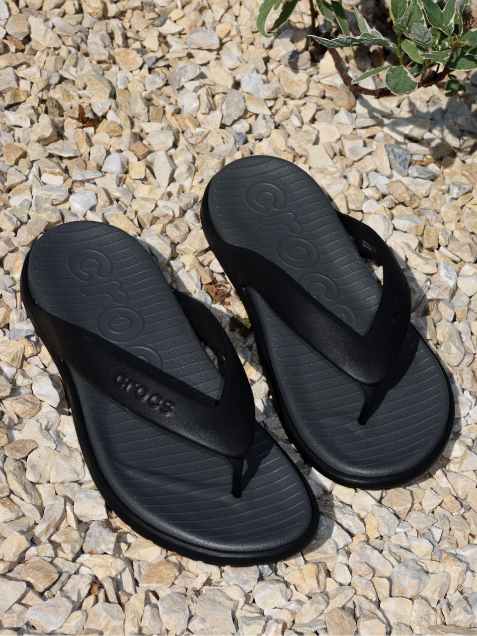 В'ЄТНАМКИ Coast Flip Blk/SGy