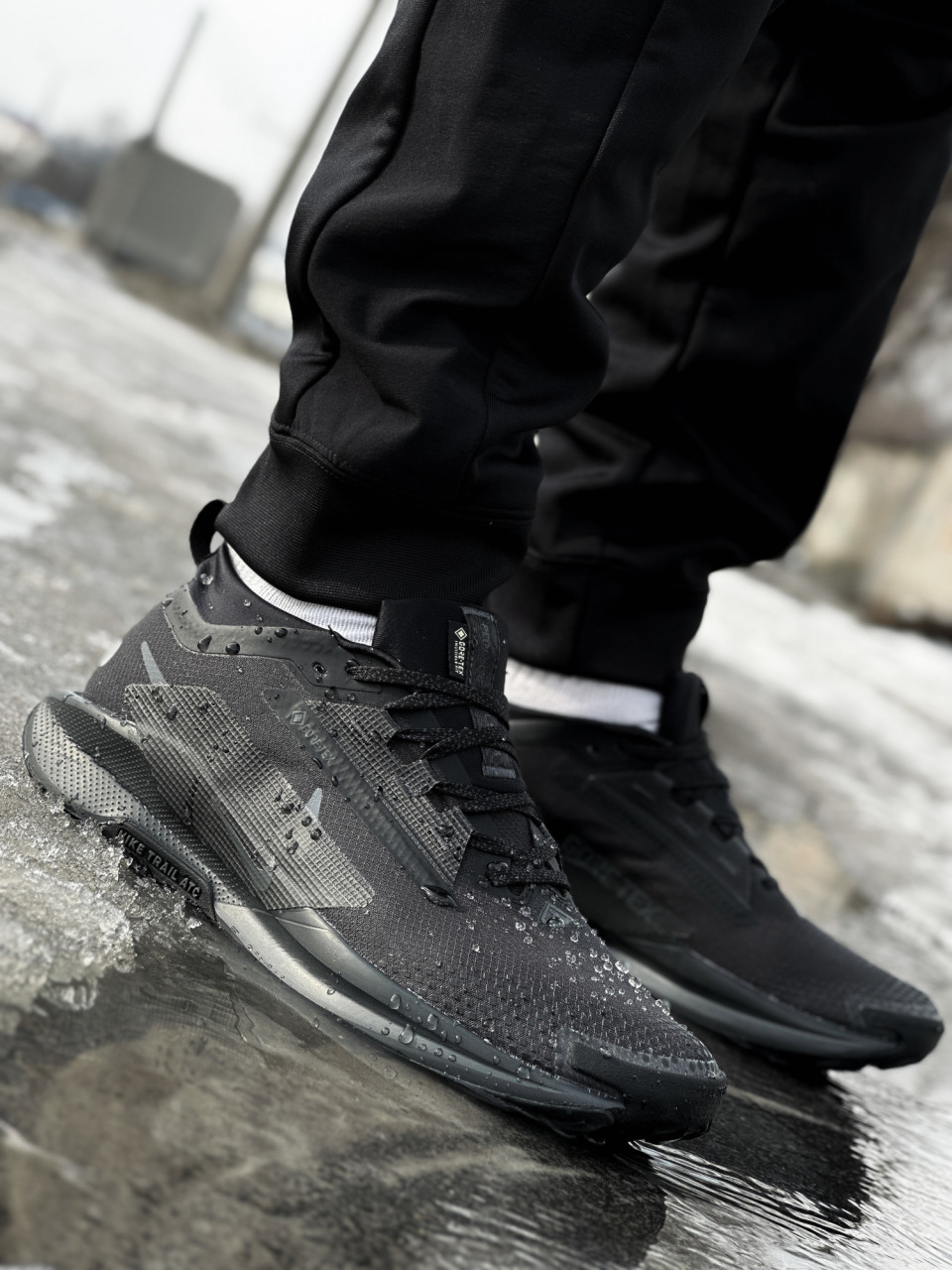КРОСІВКИ NIKE PEGASUS TRAIL 5 GTX