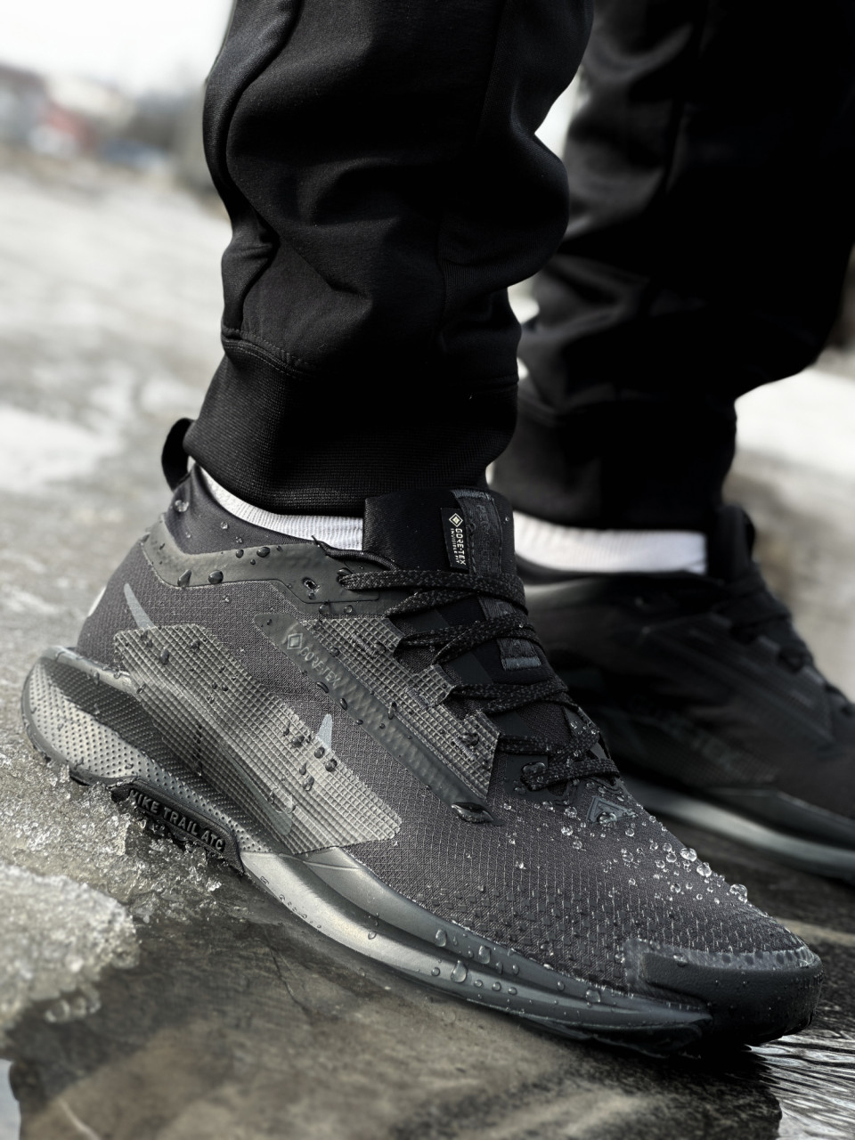 КРОСІВКИ NIKE PEGASUS TRAIL 5 GTX