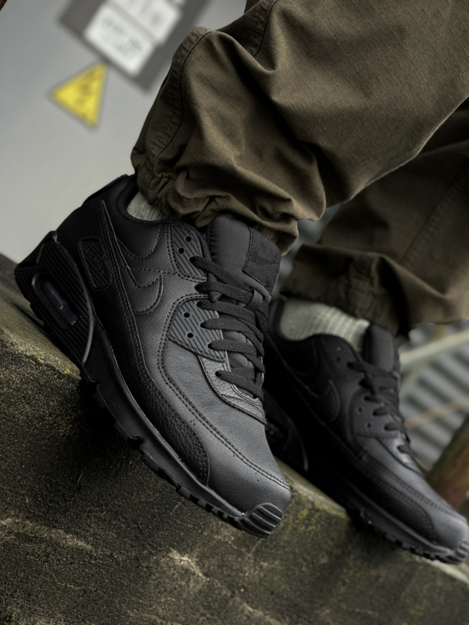 КРОСІВКИ AIR MAX 90 LTR