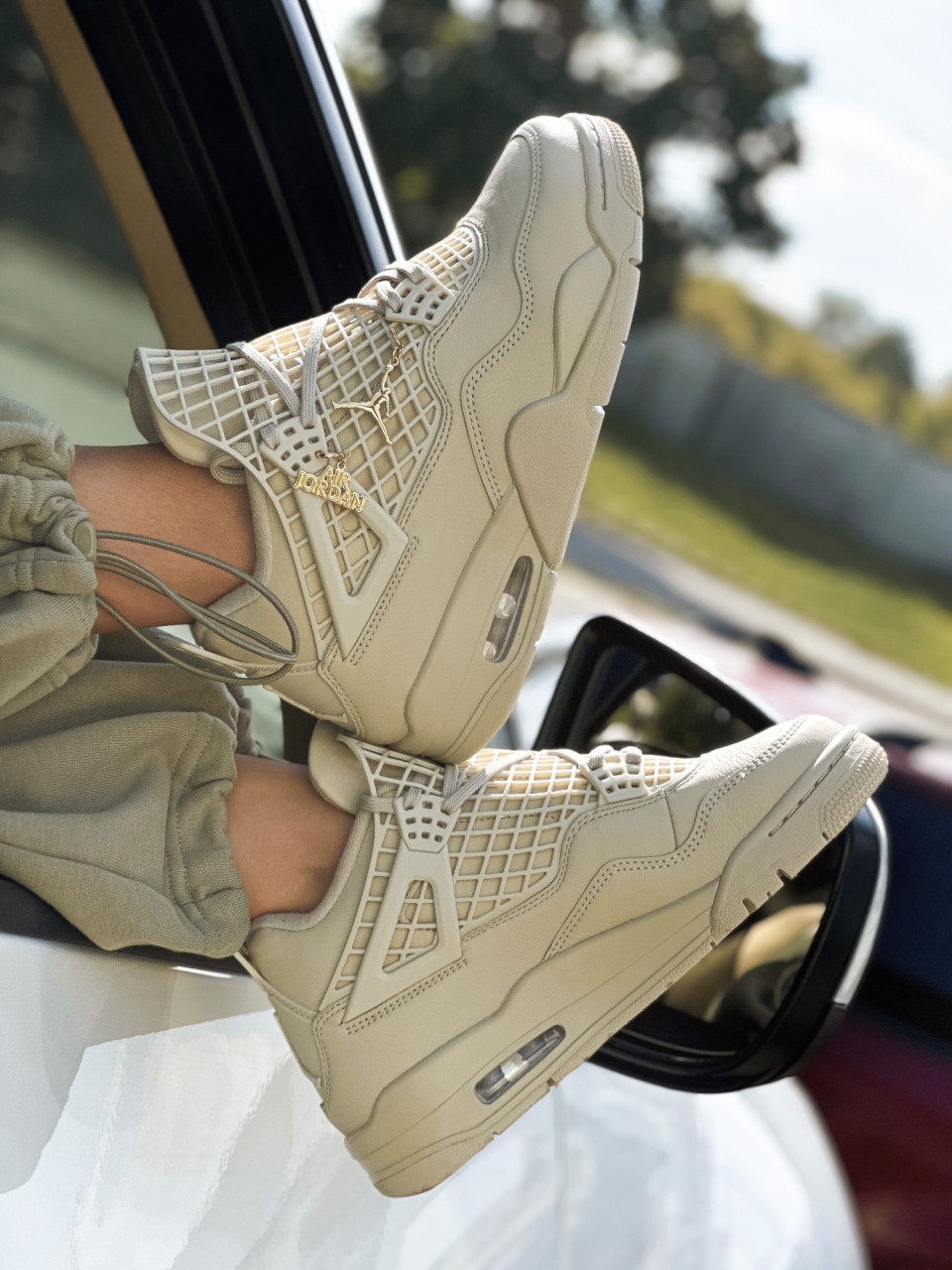 КРОСІВКИ WMNS AIR JORDAN 4 NET