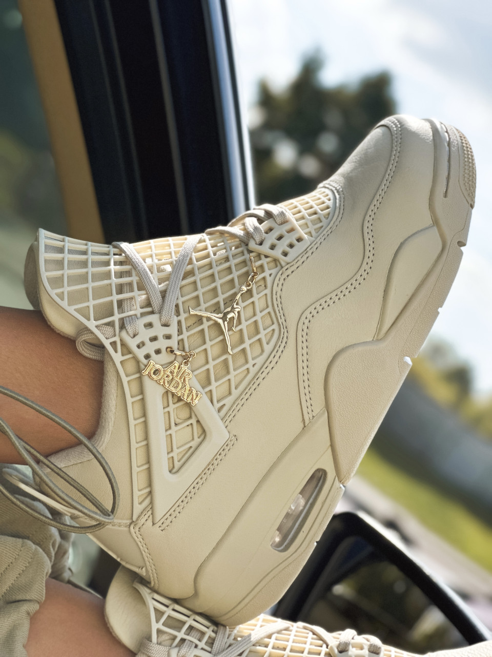КРОСІВКИ WMNS AIR JORDAN 4 NET