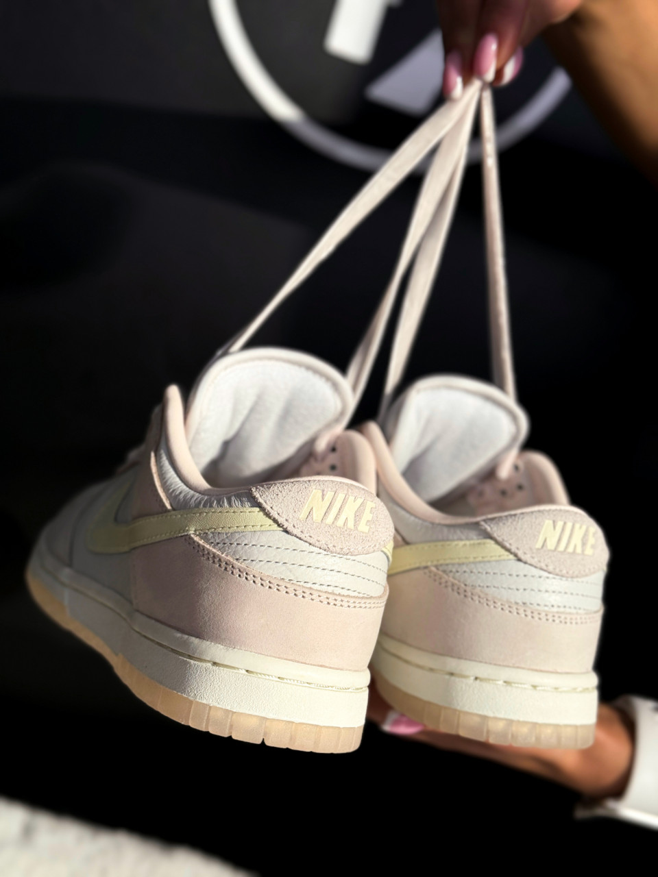 КРОСІВКИ W NIKE DUNK LOW PRM