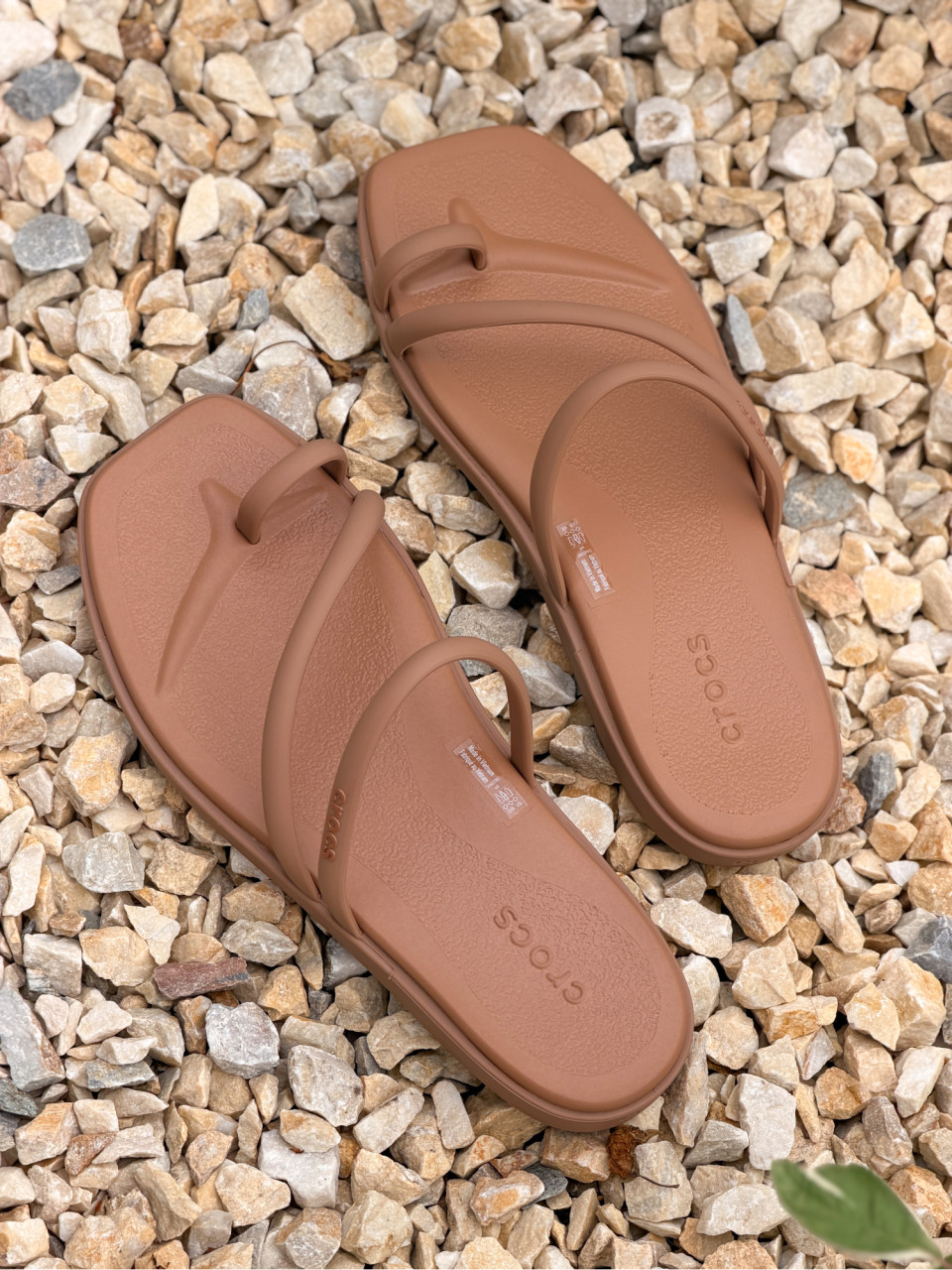 САНДАЛІ Miami Toe Loop Sandal MCc