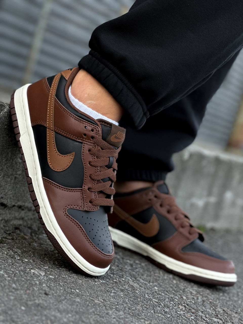 КРОСІВКИ NIKE DUNK LOW (GS)