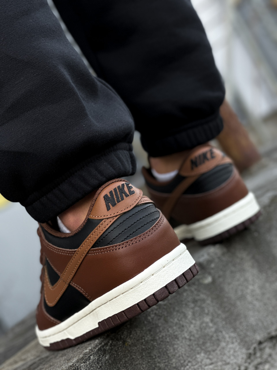 КРОСІВКИ NIKE DUNK LOW (GS)