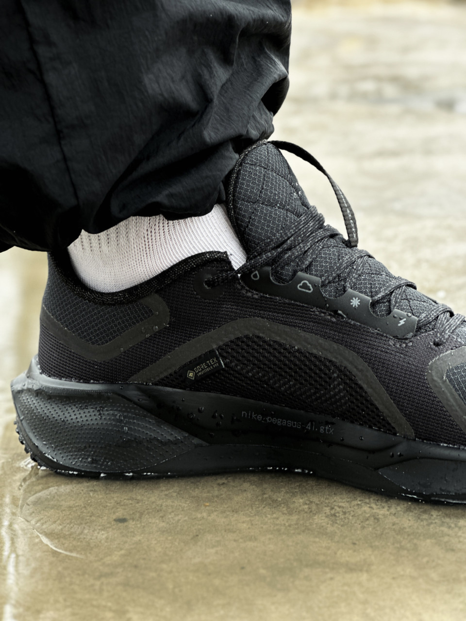 КРОСІВКИ AIR ZM PEGASUS 41 GTX