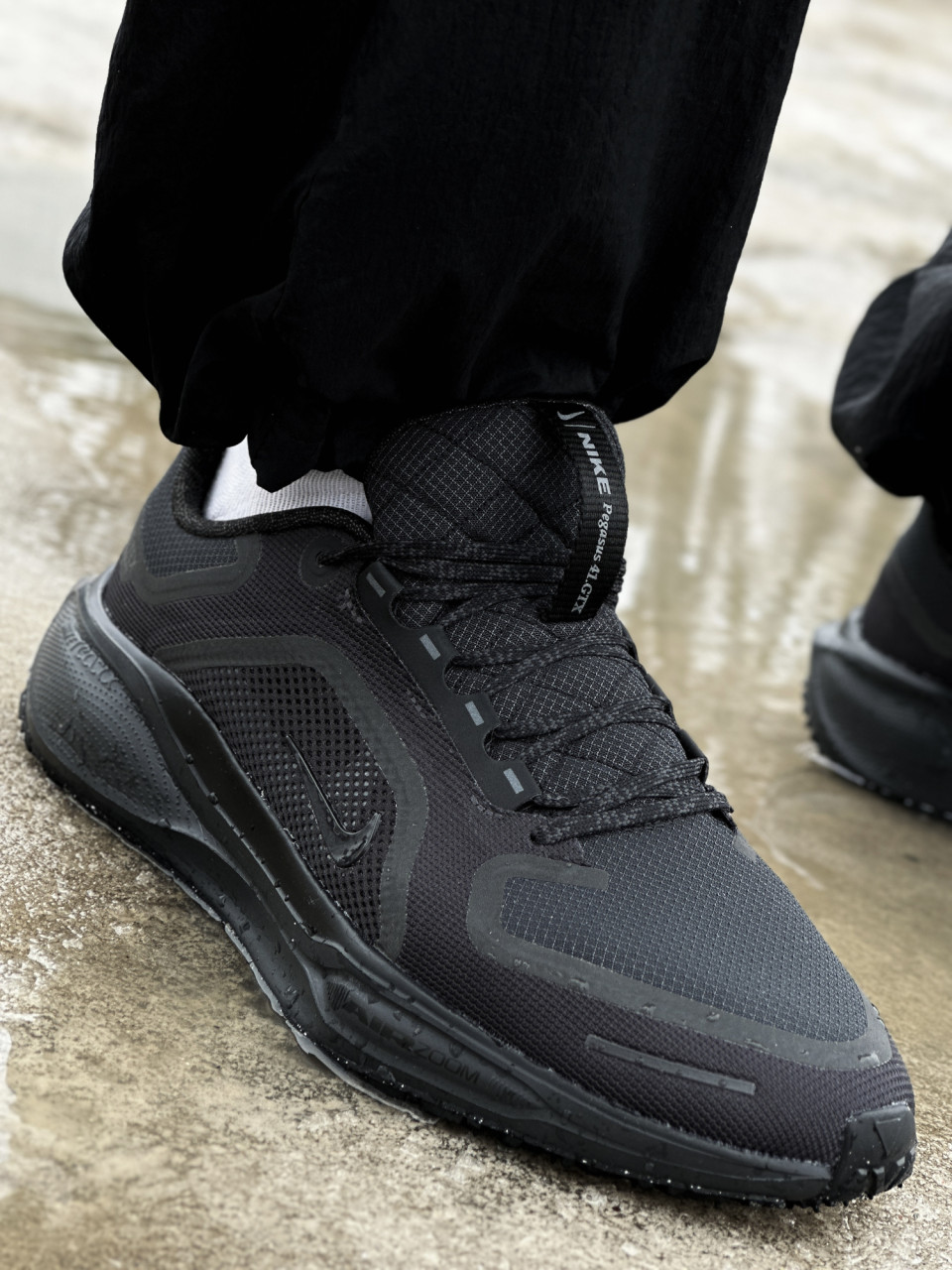 КРОСІВКИ AIR ZM PEGASUS 41 GTX