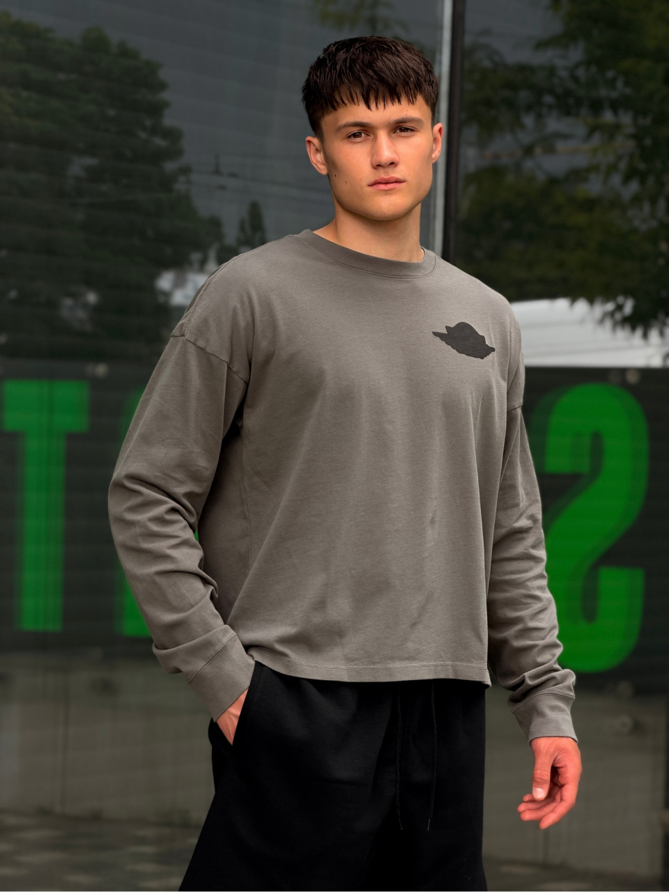 ЛОНГСЛІВ M J WINGS LS TEE