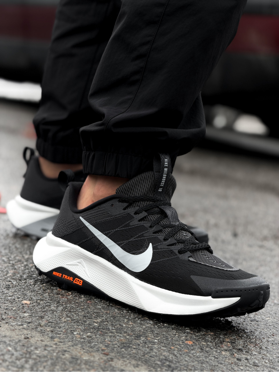 КРОСІВКИ NIKE REACTX WILDHORSE 10