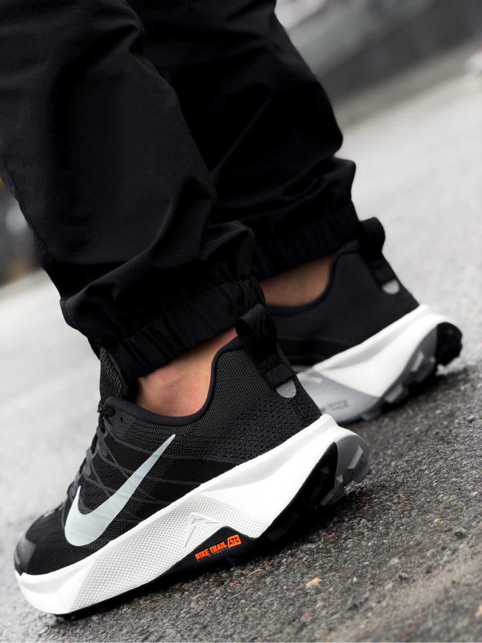 КРОСІВКИ NIKE REACTX WILDHORSE 10