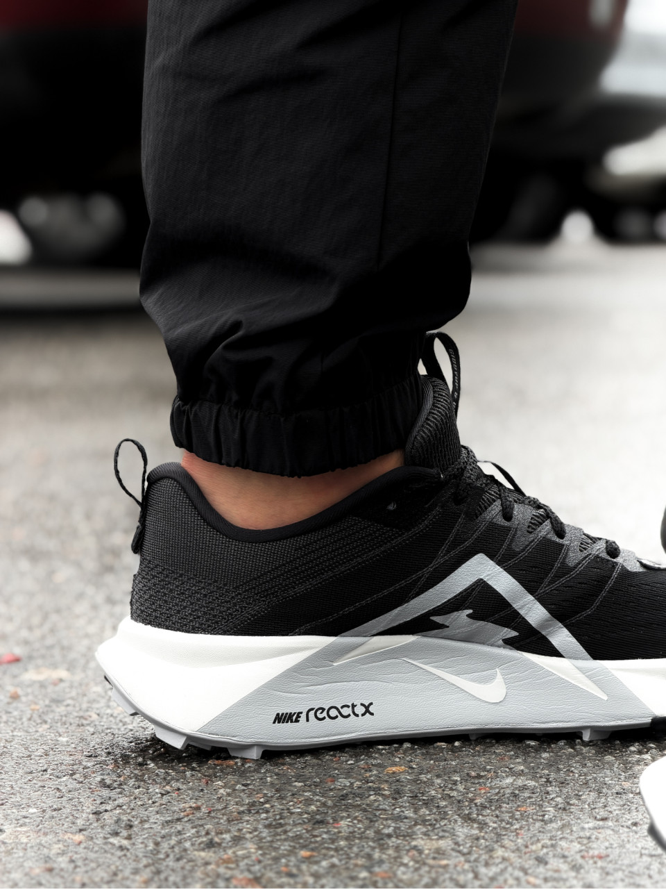 КРОСІВКИ NIKE REACTX WILDHORSE 10